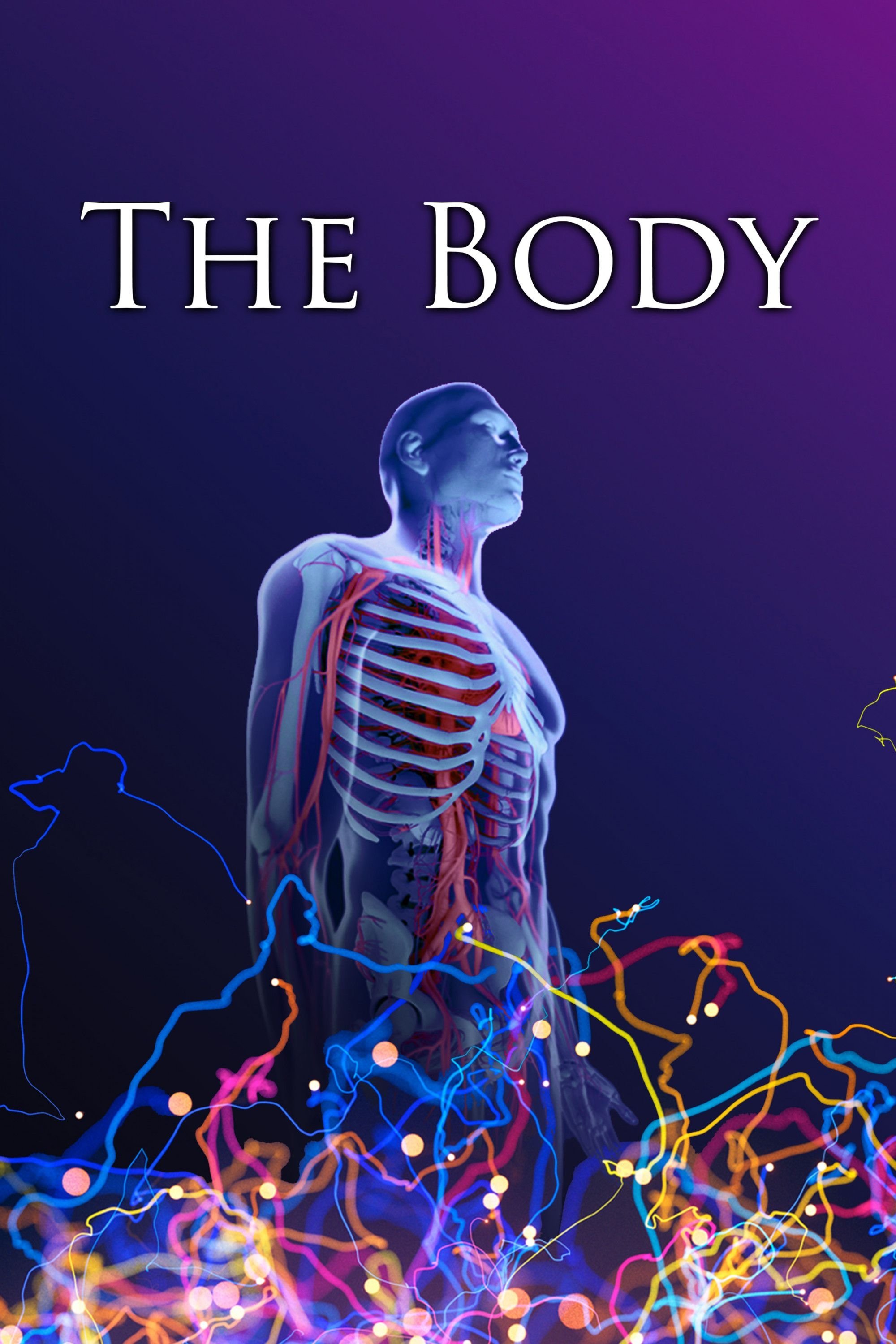 The Body poster