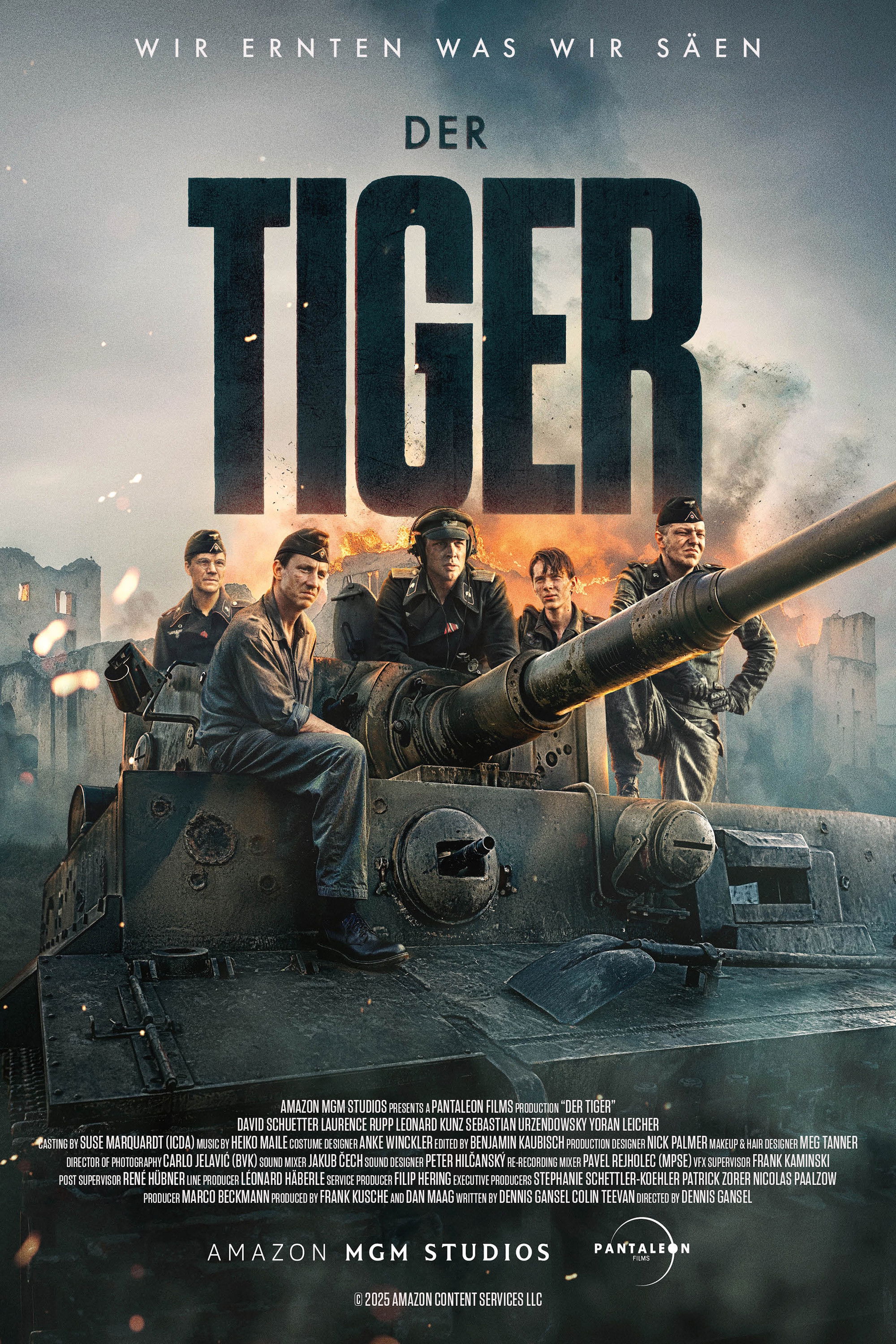 The Tiger poster