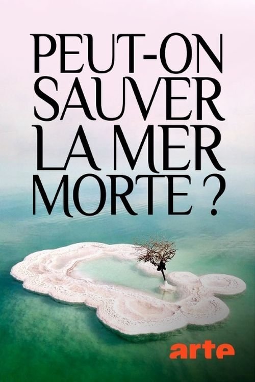 Peut-on sauver la mer Morte ? poster