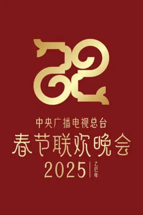 2025抖音灯火万家欢聚夜 poster