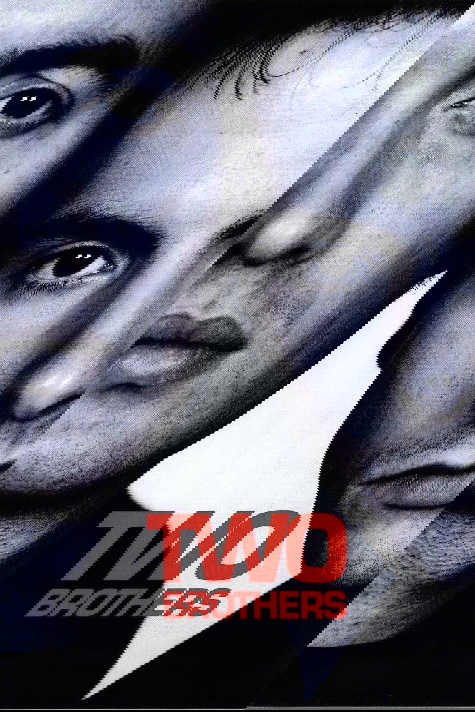 Two Brothers poster