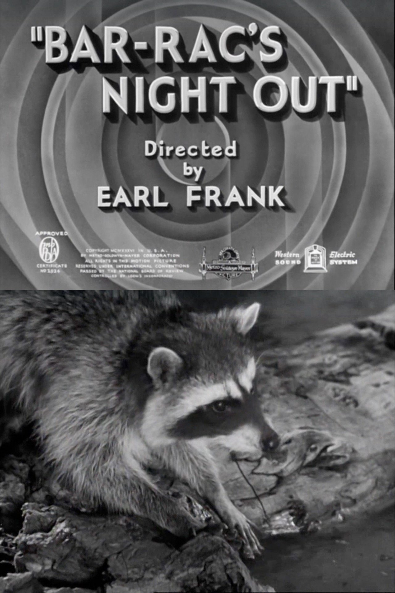 Bar-Rac's Night Out poster