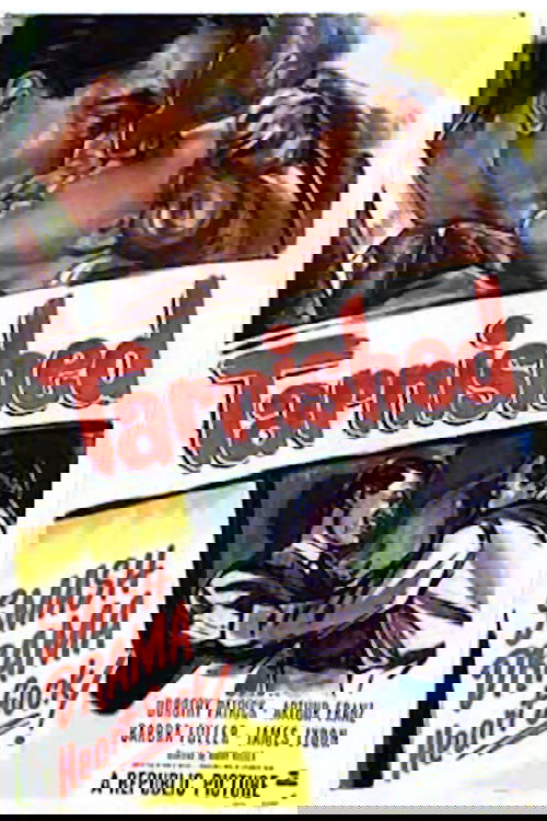 Tarnished poster