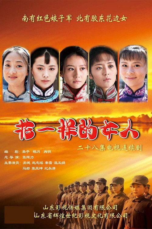 花一样的女人 poster