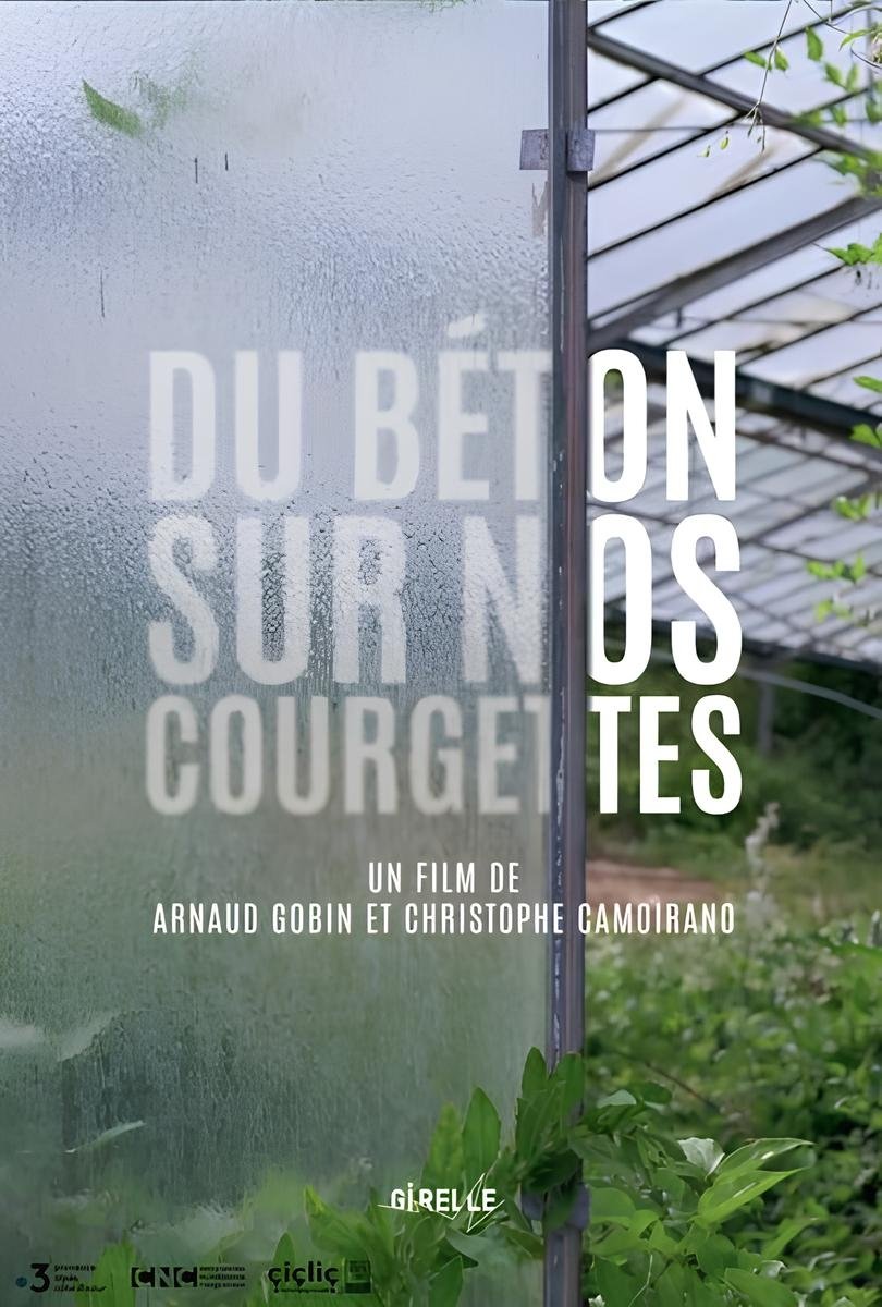 Du béton sur nos courgettes poster