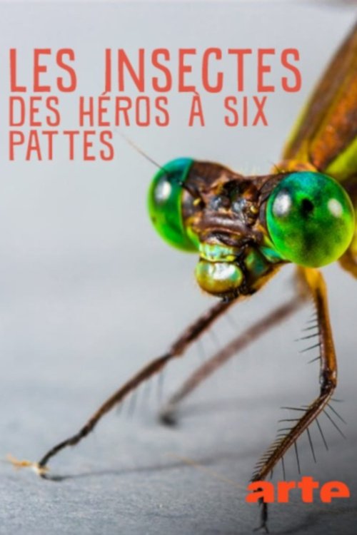 Insekten, Superhelden auf sechs Beinen poster