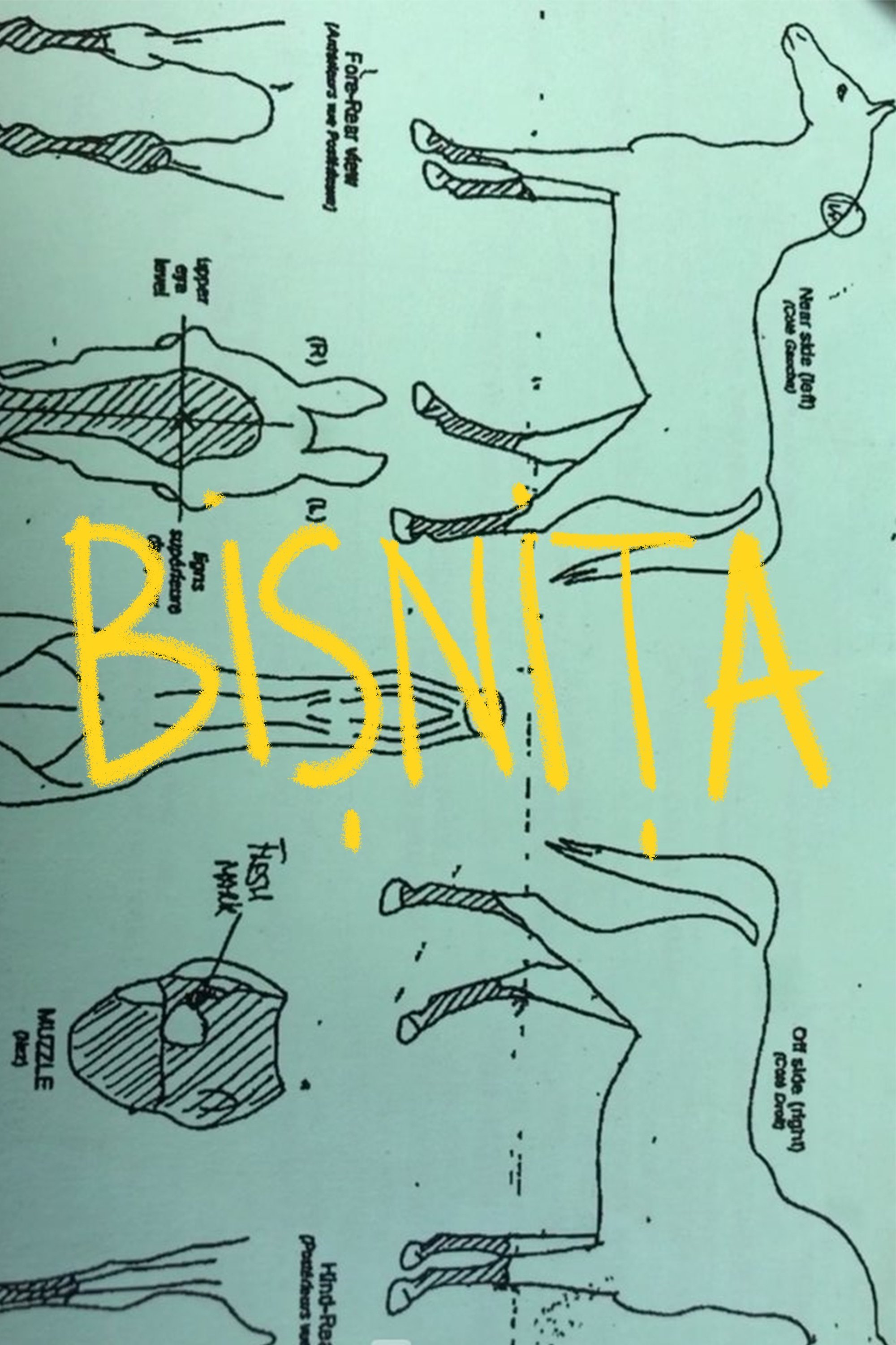 BIZ poster