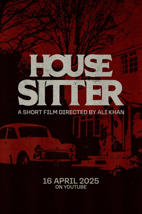 House Sitter poster