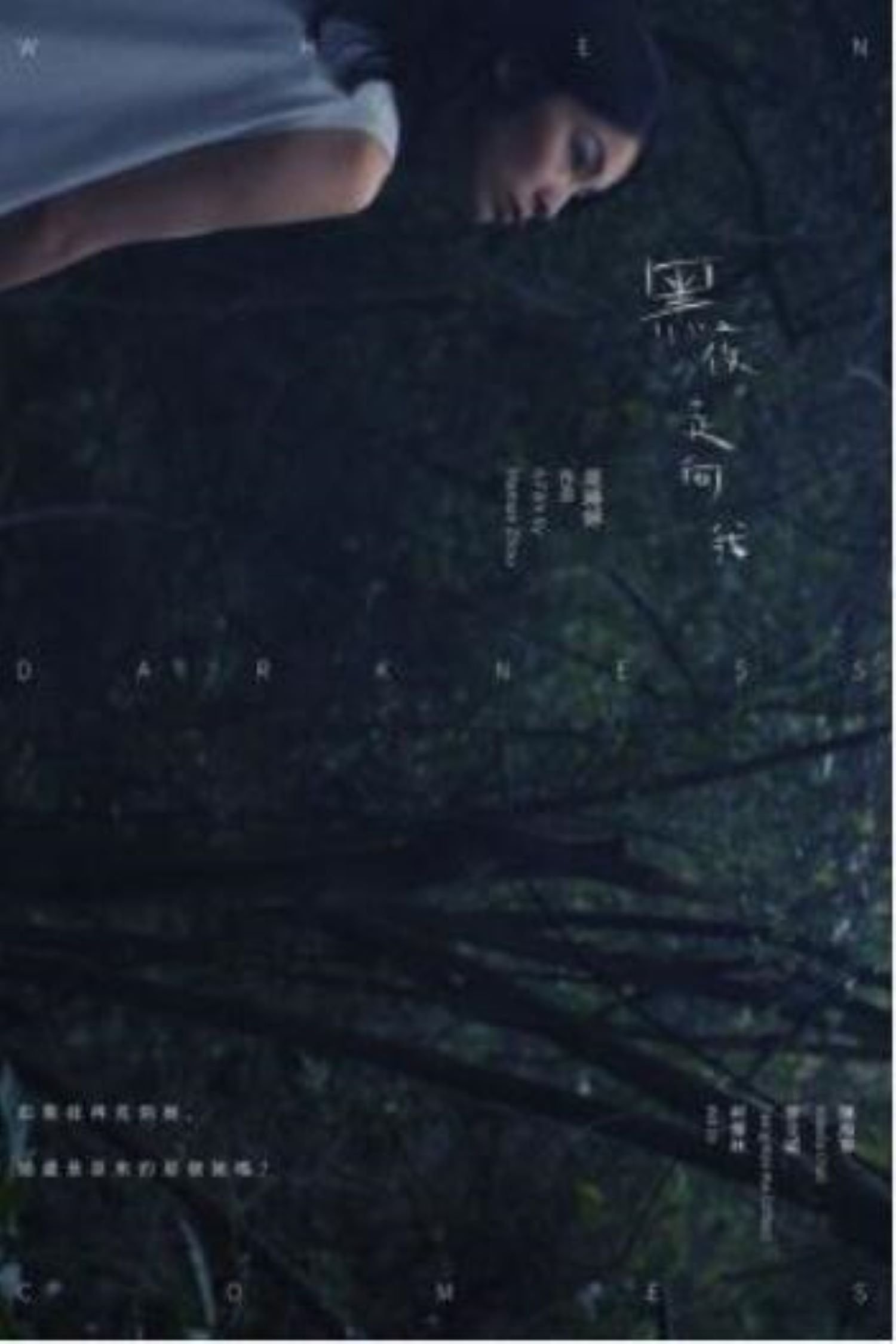 When Darkness Comes poster
