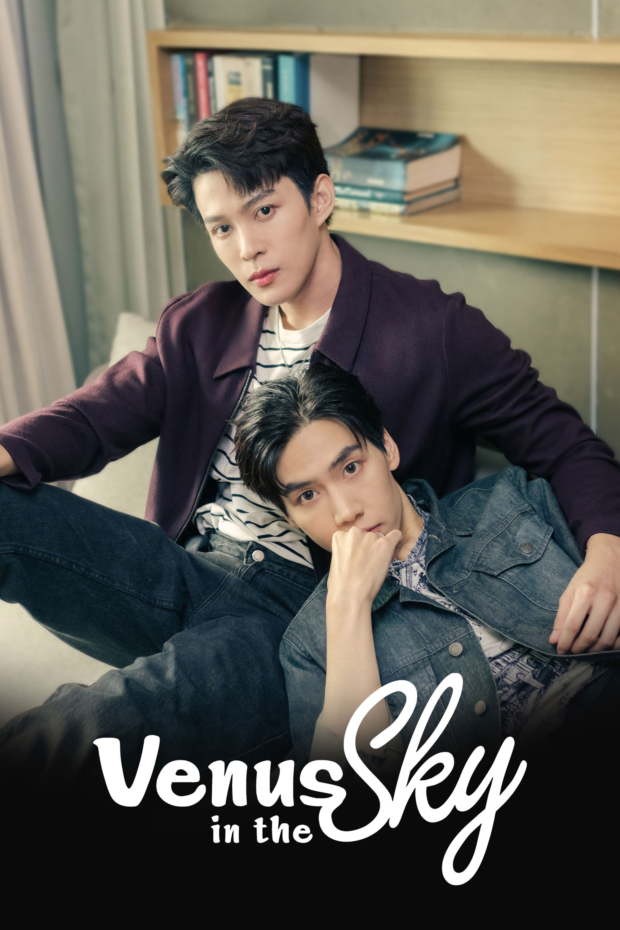 Venus in the Sky poster