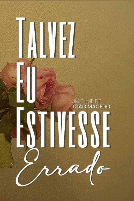 Talvez eu estivesse errado poster