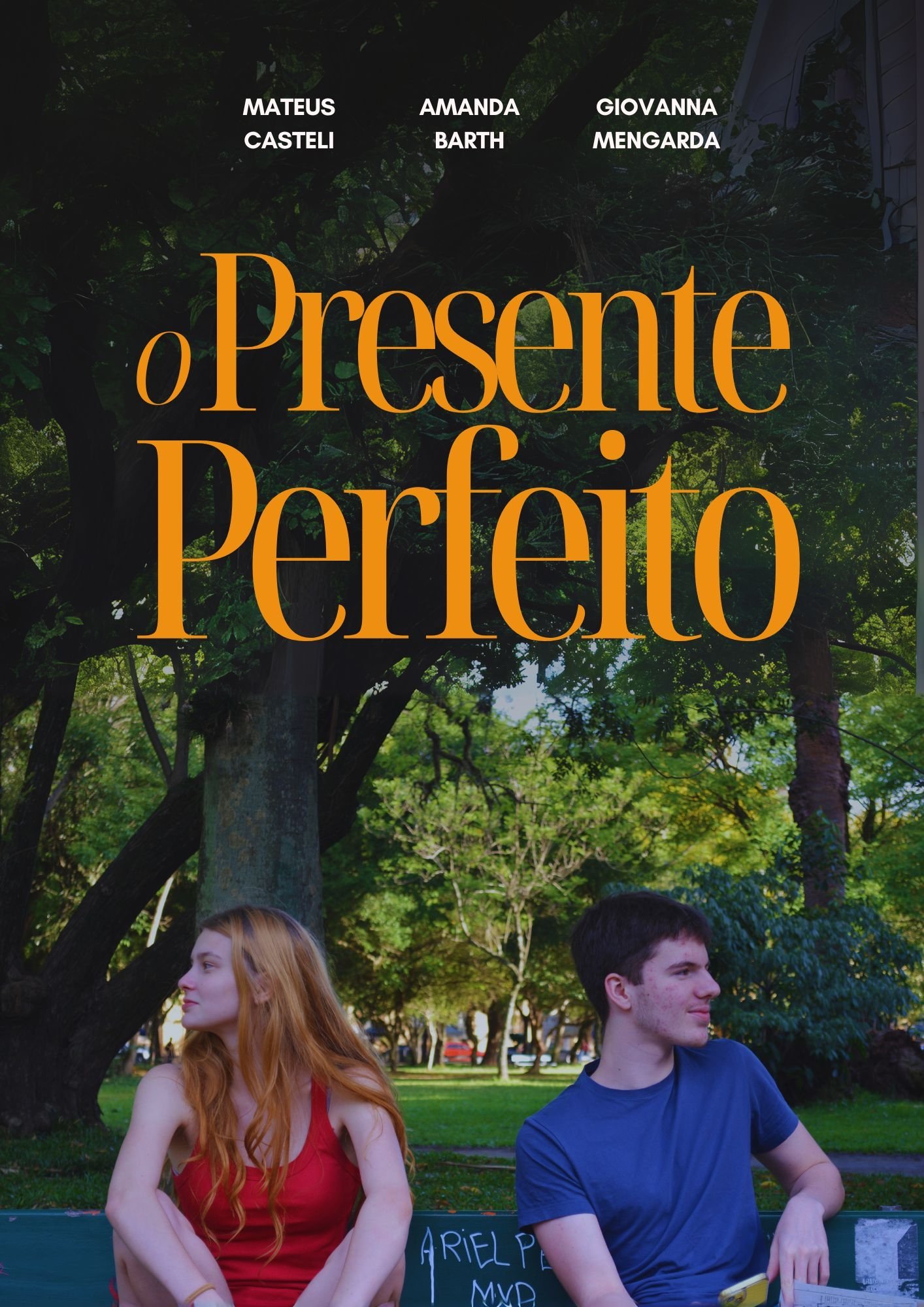 The Perfect Gift poster