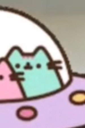 New Cat Friend 4