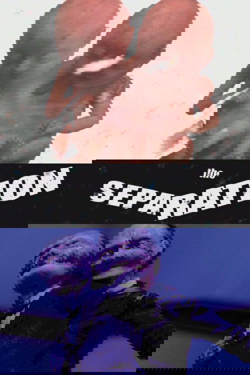 The Separation poster