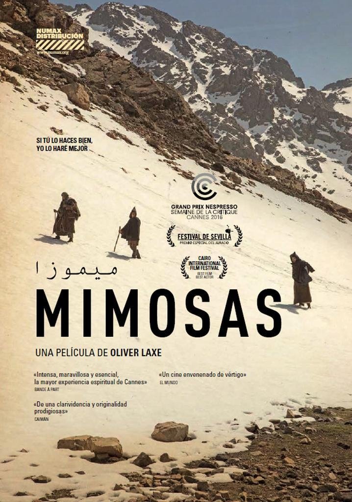 Mimosas poster