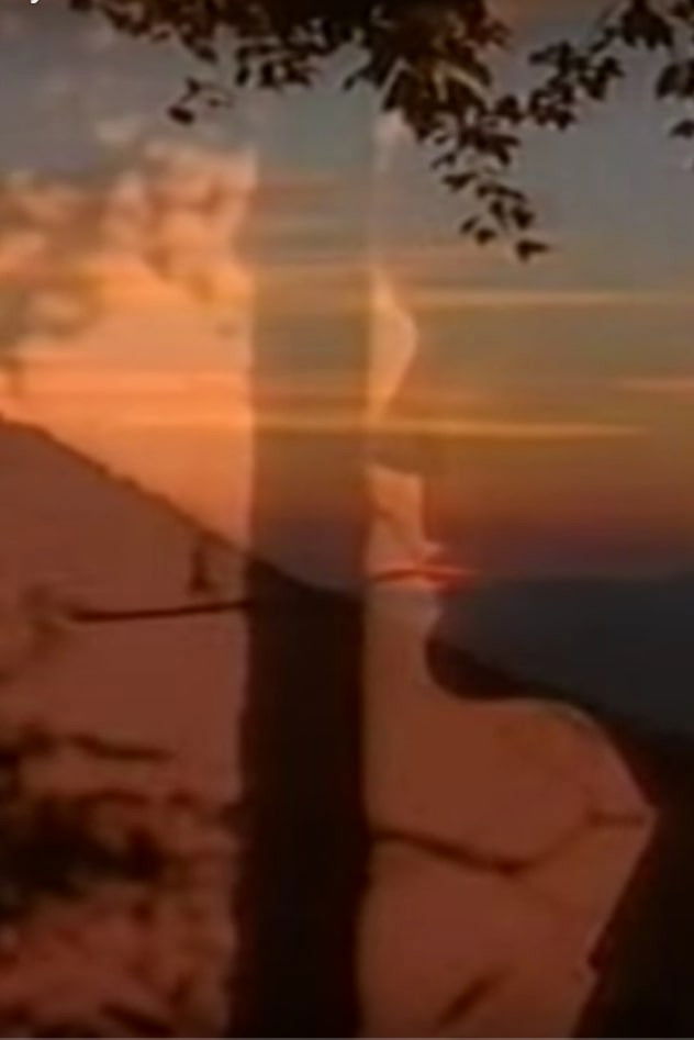 The Bitter Berry: The Life and Work of Byron Herbert Reece poster