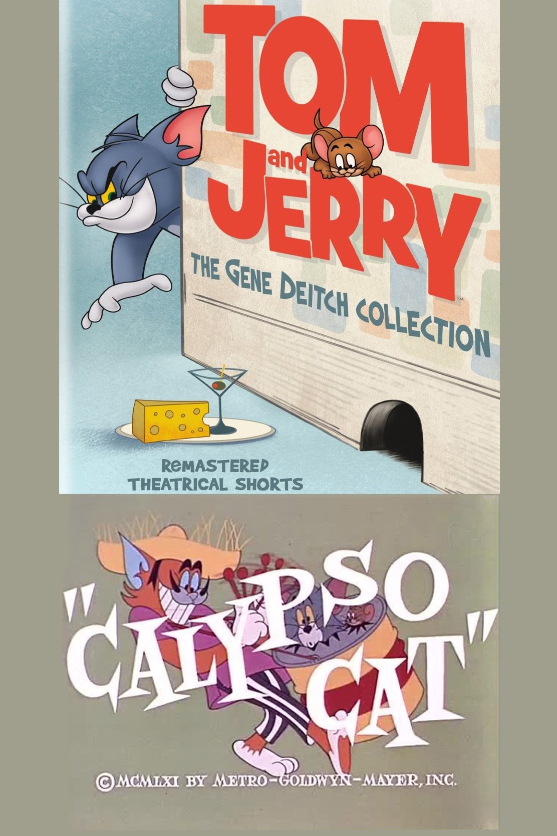 Calypso Cat poster