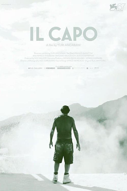 The Chief poster