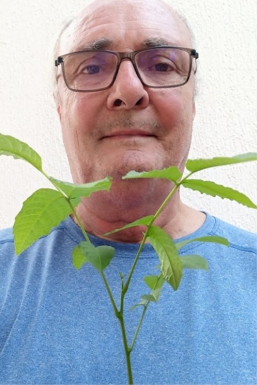 Klaus Hilbert