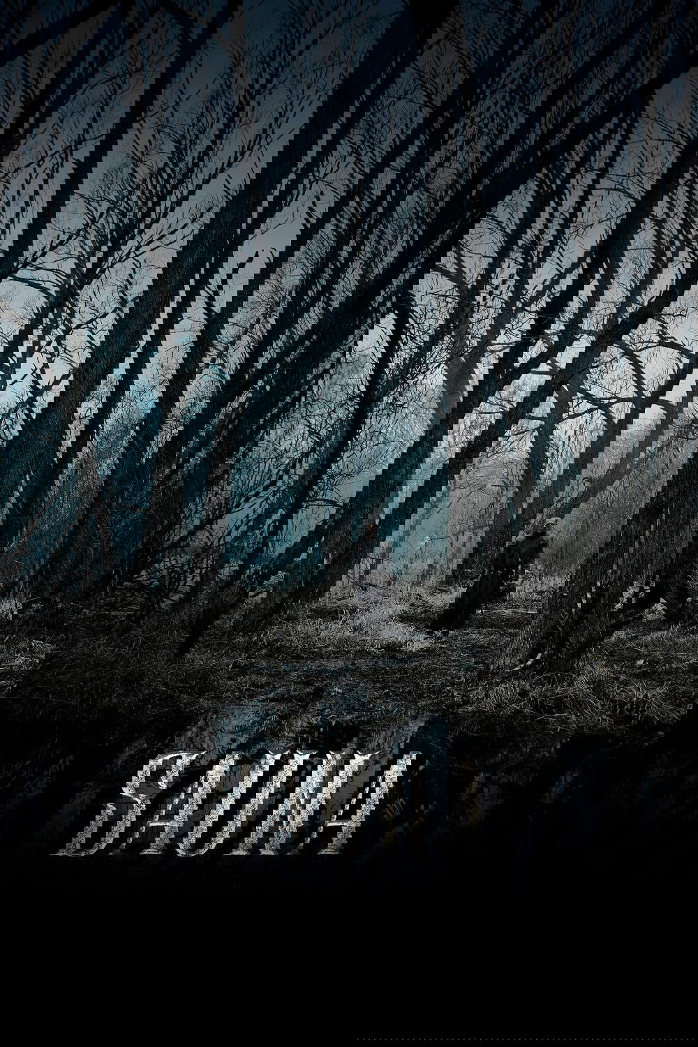 Sauna poster