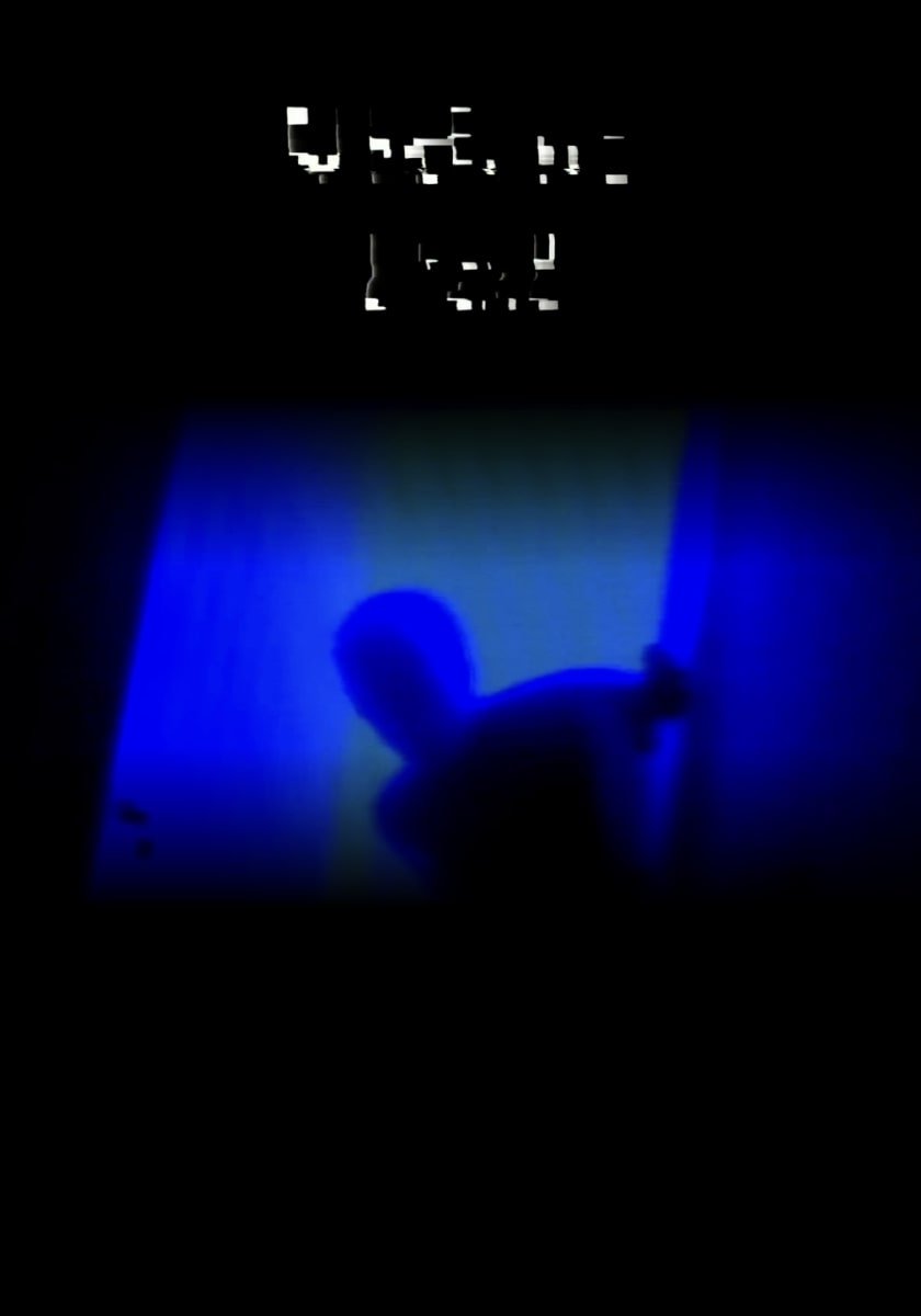 VIDEO PAL poster