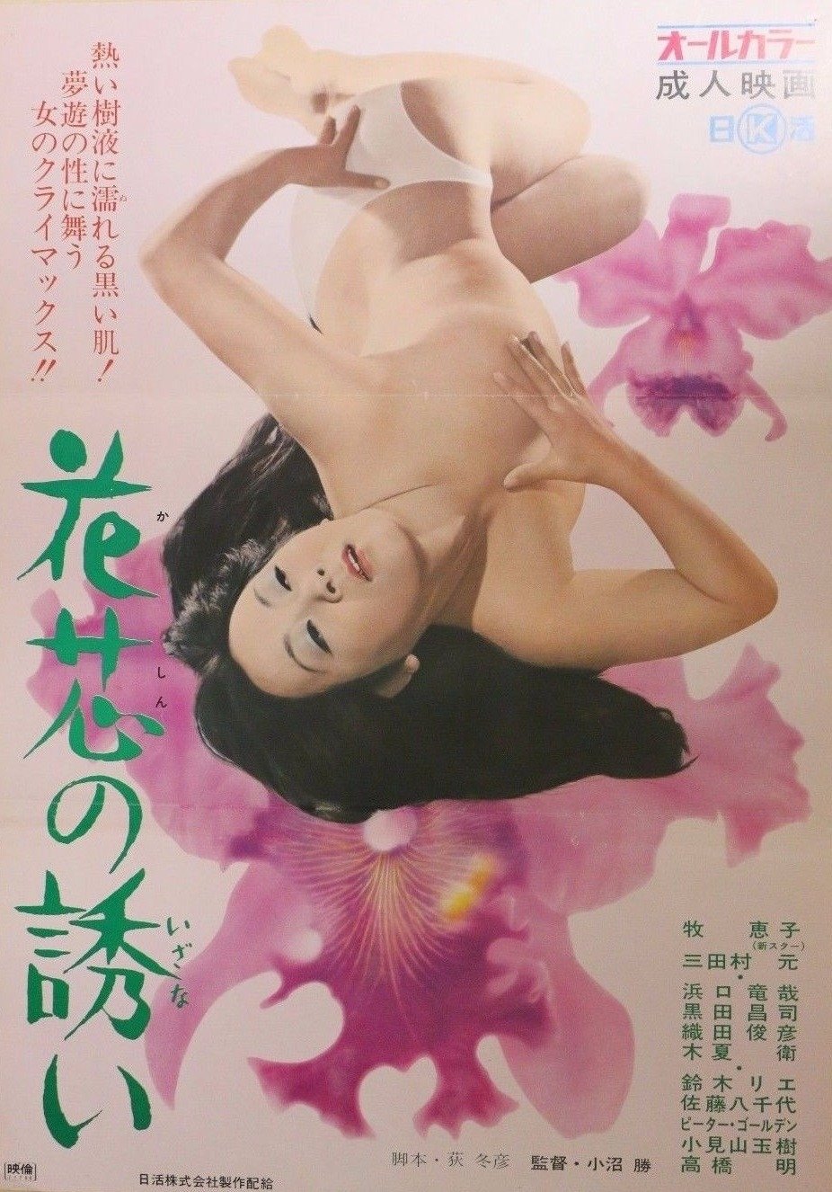 Call of the Pistil poster