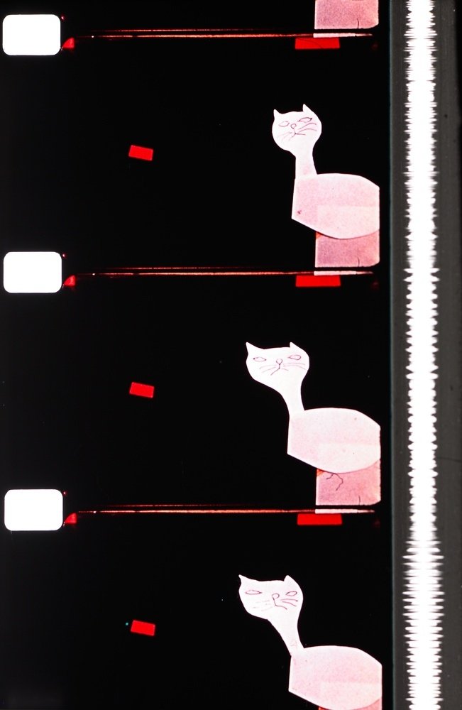 Cats poster