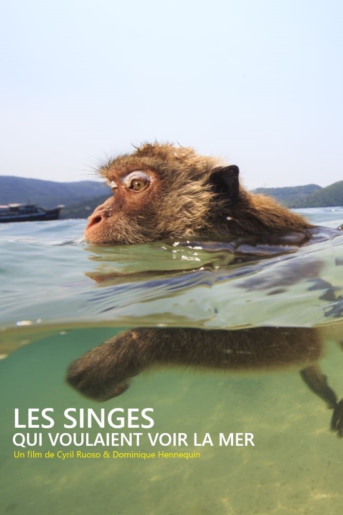 Les singes qui voulaient voir la mer poster