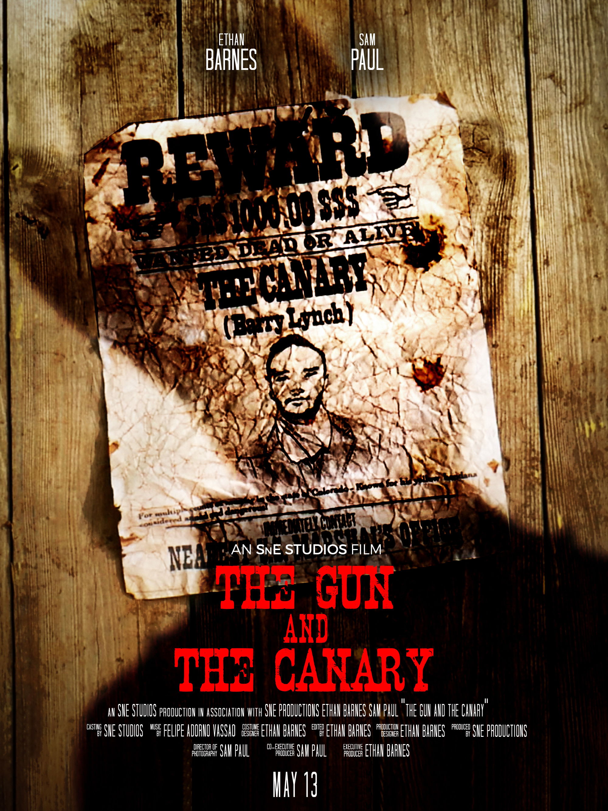 The Gun and the Canary poster