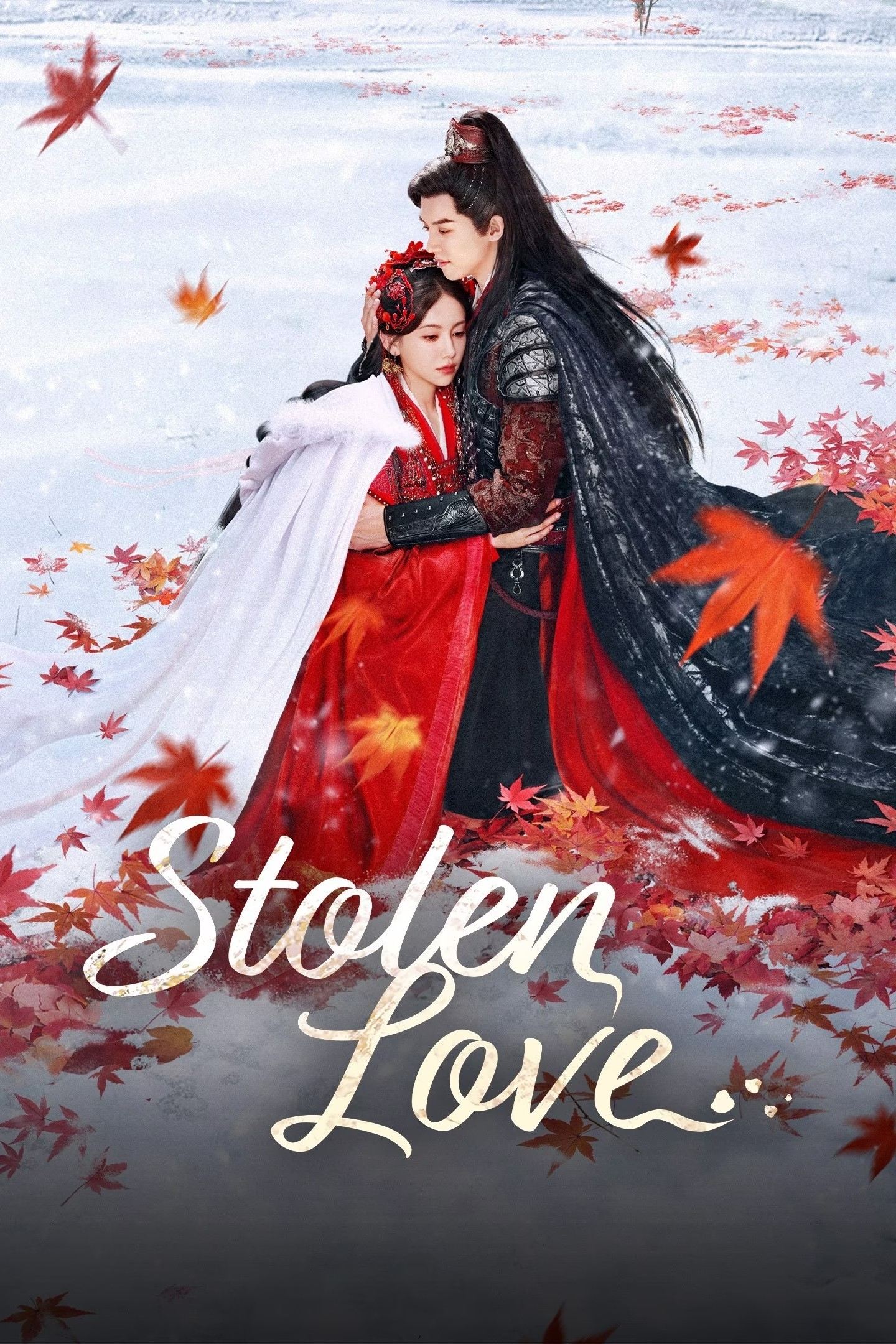 Stolen Love poster