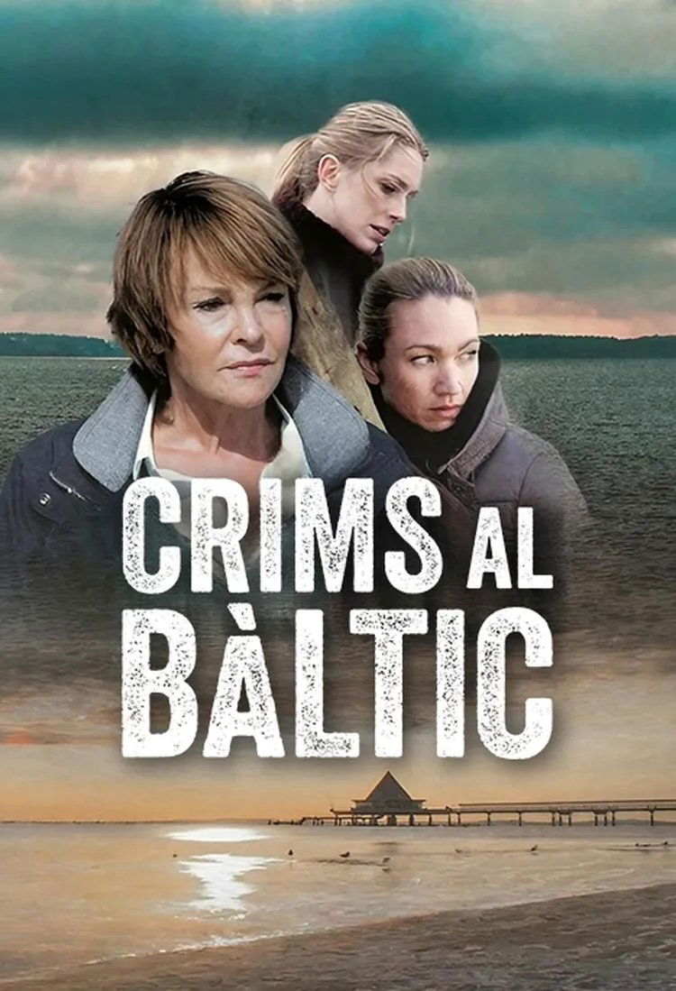 The Nordic Murders poster
