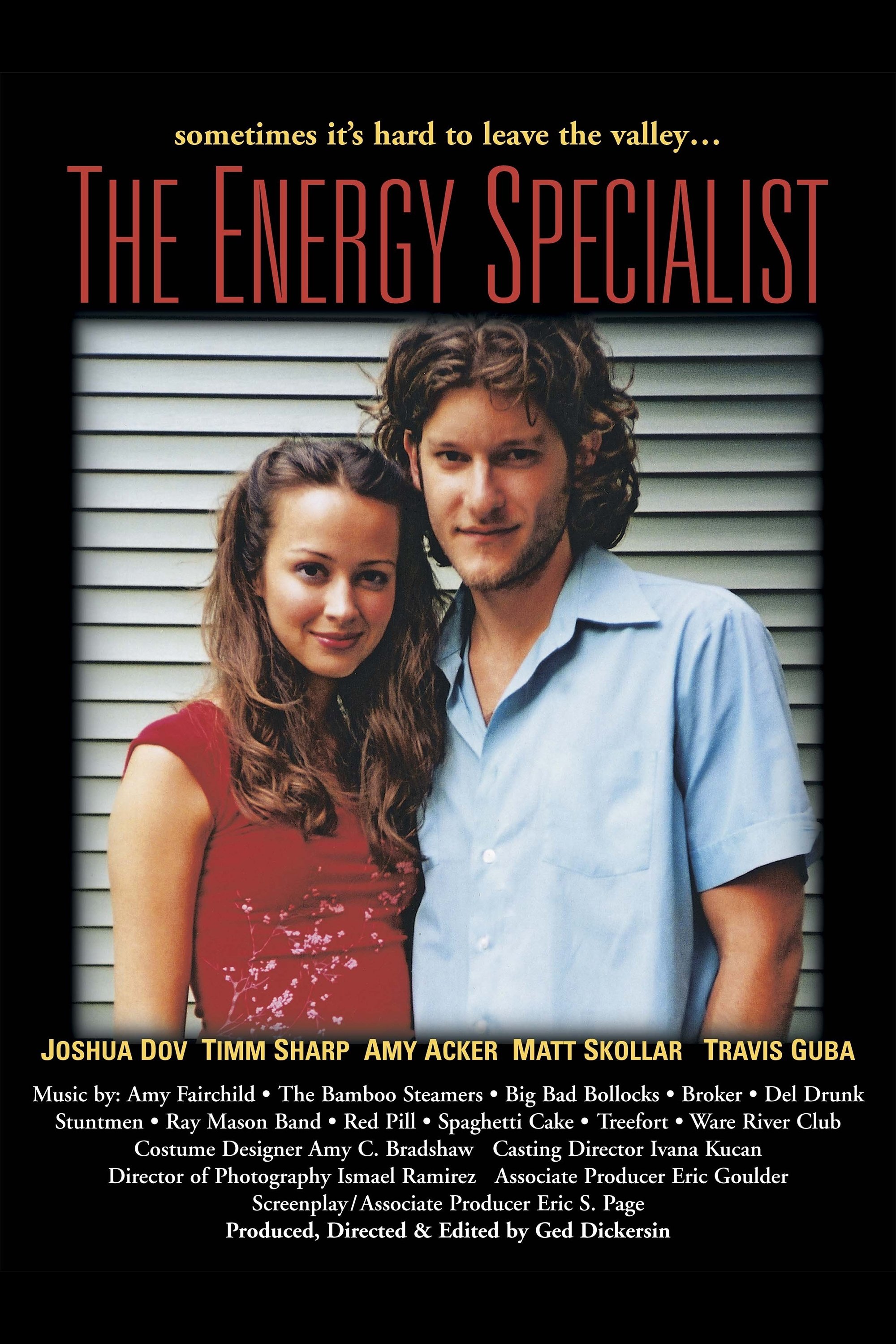 The Energy Specialist poster