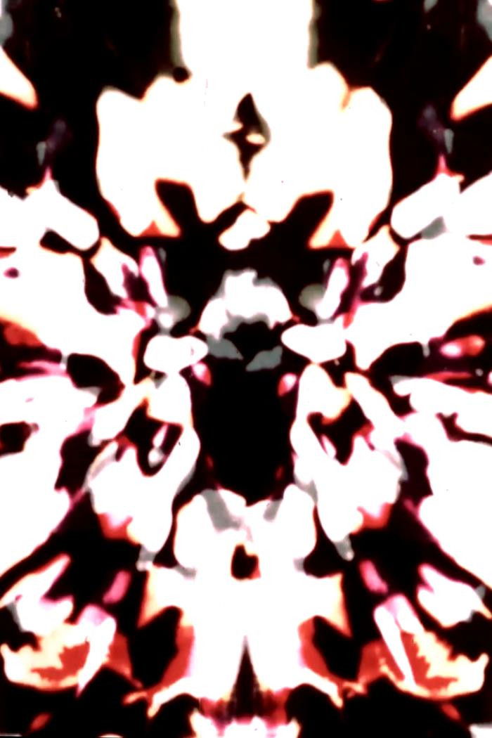 Various Loops poster