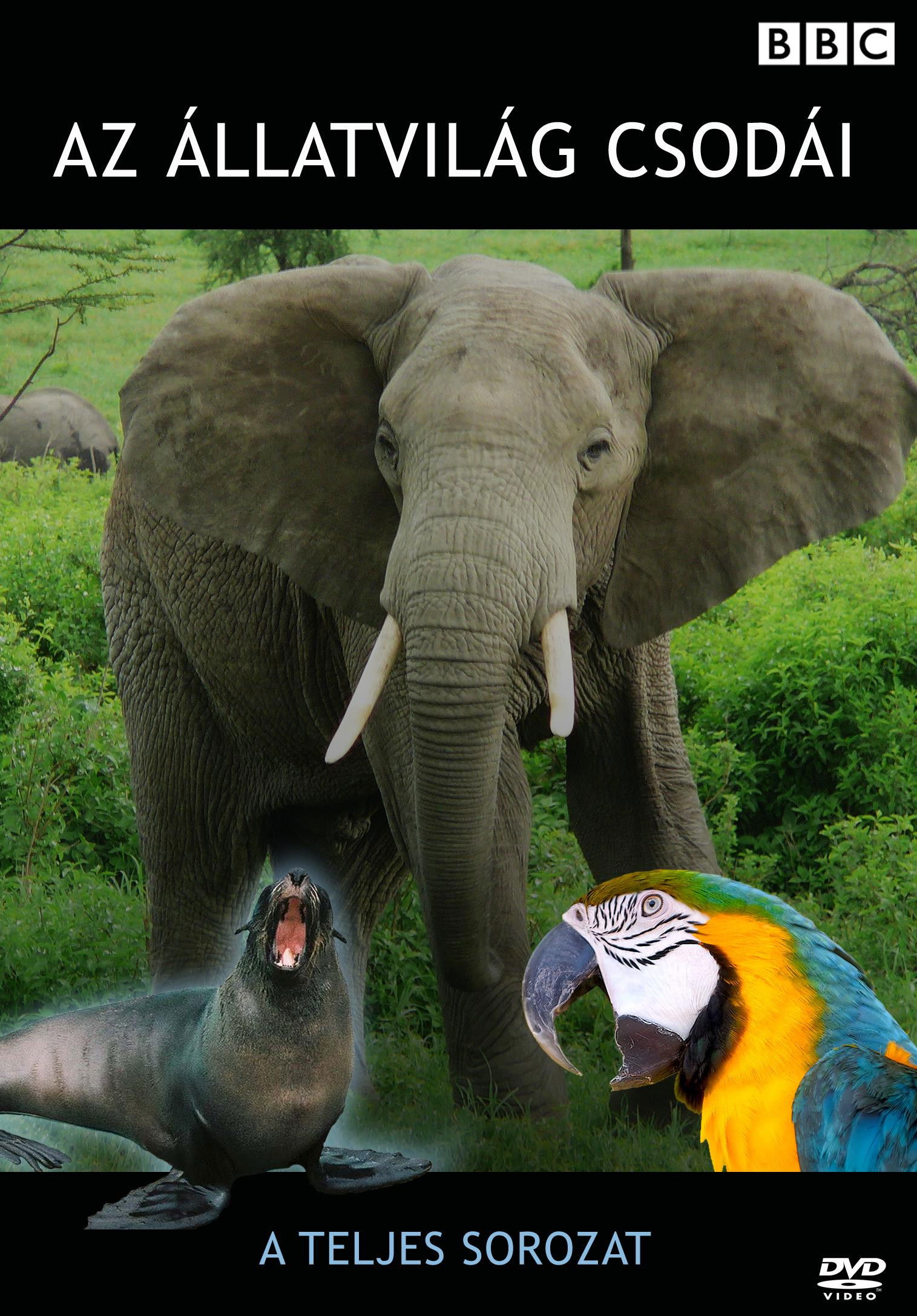 Extraordinary Animals poster