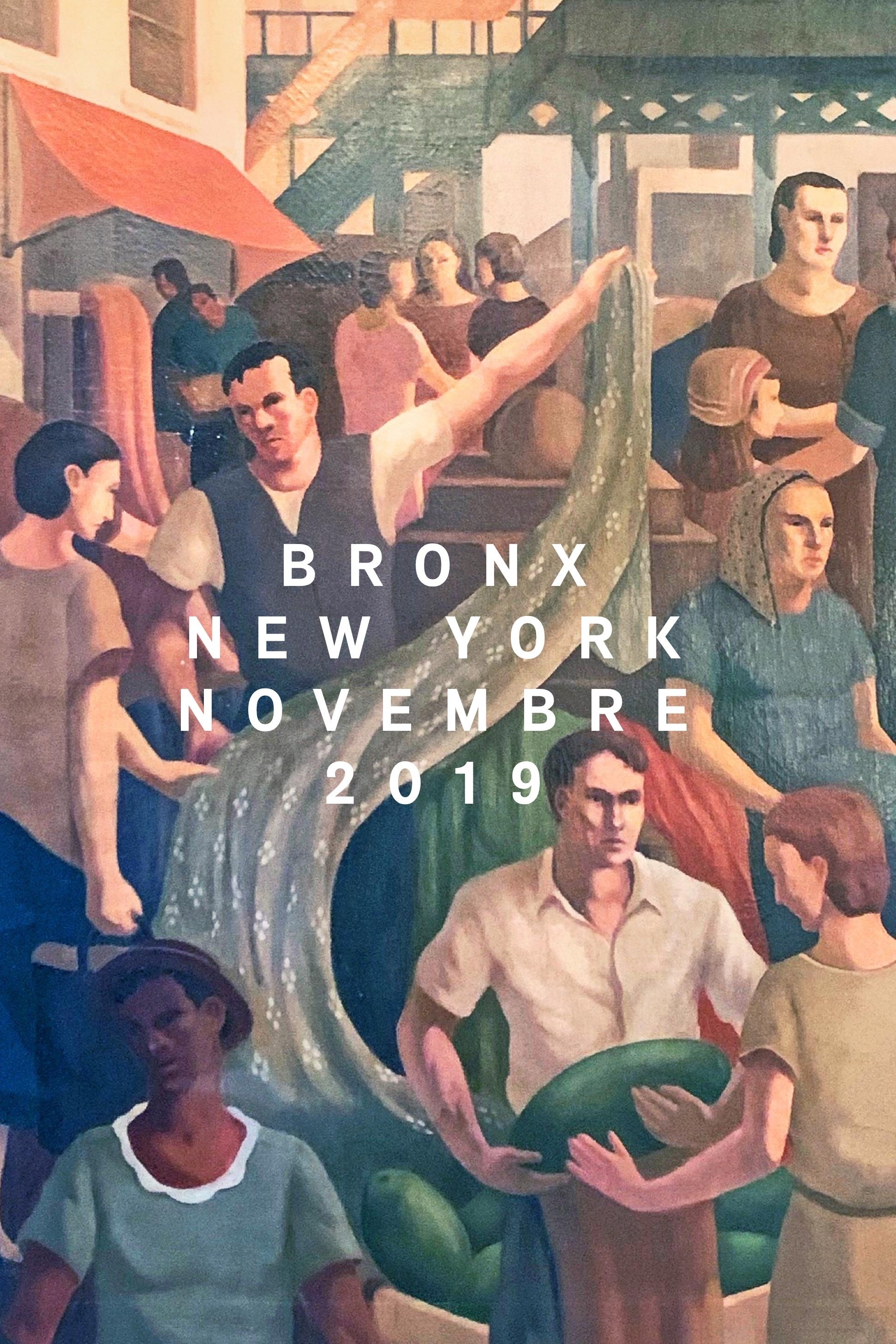 Bronx, New York, November 2019 poster
