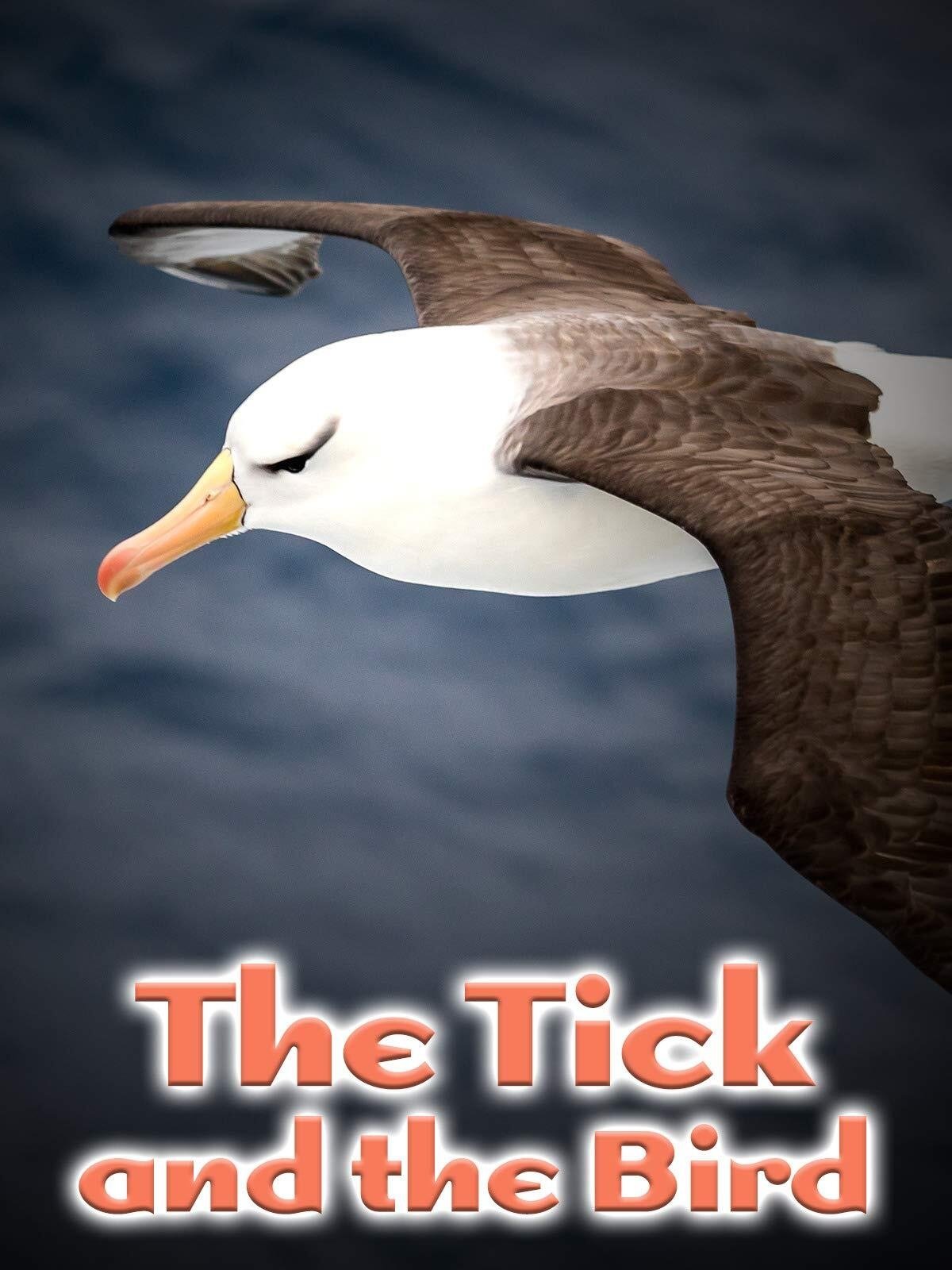 The Tick and the Bird poster