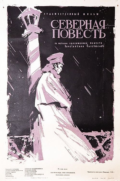 Northern Story poster