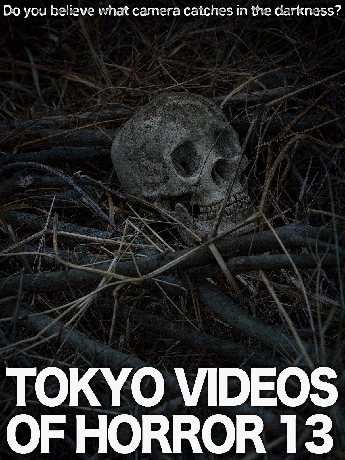 Tokyo Videos of Horror 13 poster