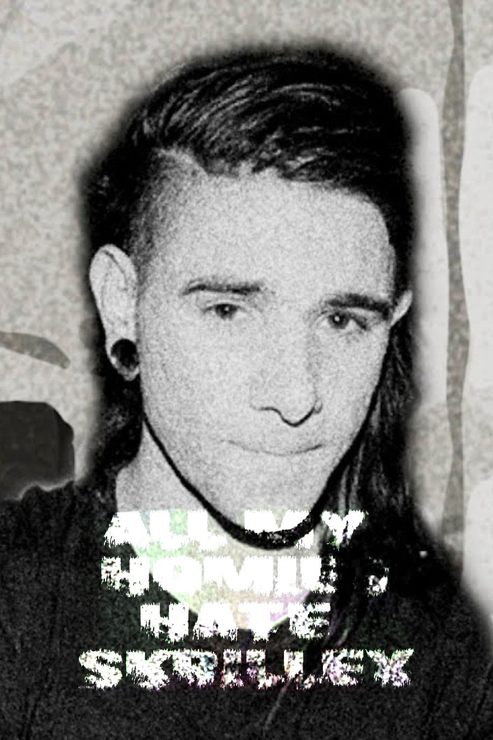 All My Homies Hate Skrillex poster