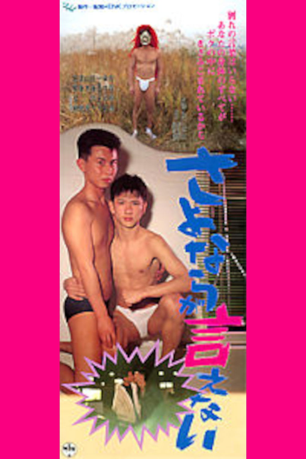 I Can't Say Goodbye poster