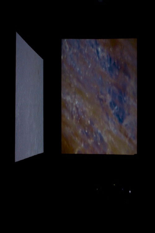 Wildness of Waves poster