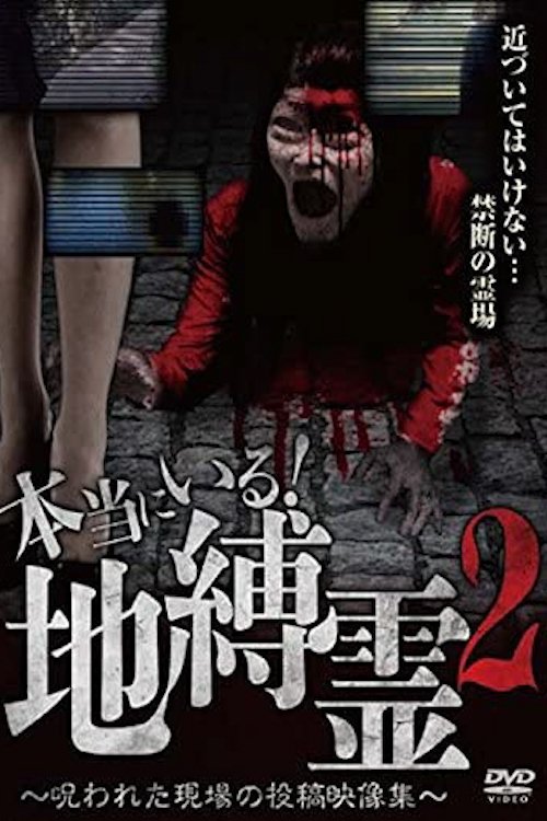 They Really Exist! Earthbound Spirits 2 - Cursed Scene Submitted Video Collection poster