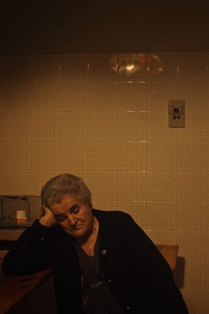 Viaxar aos teus recordos é buscar pelexa poster