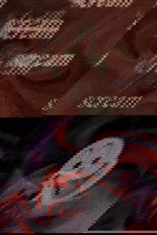 Scream poster