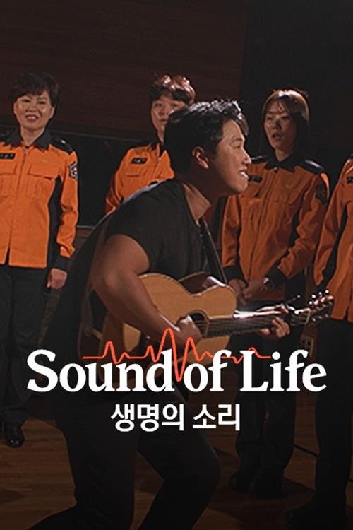 Sound of Life poster