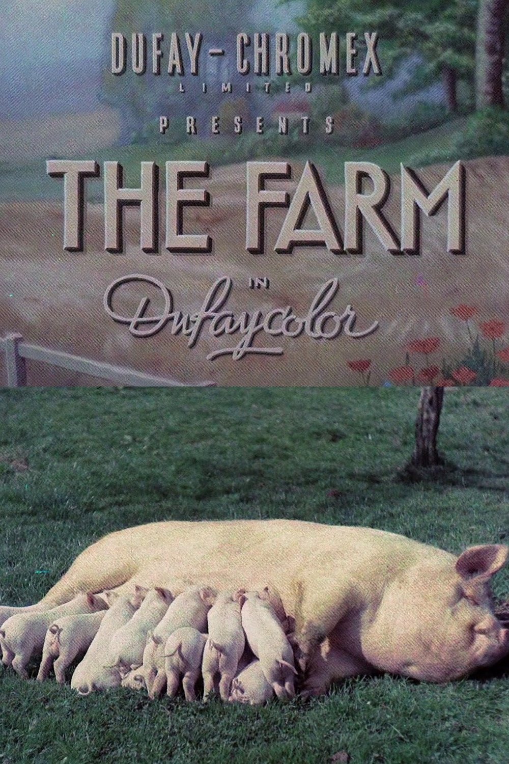 The Farm poster