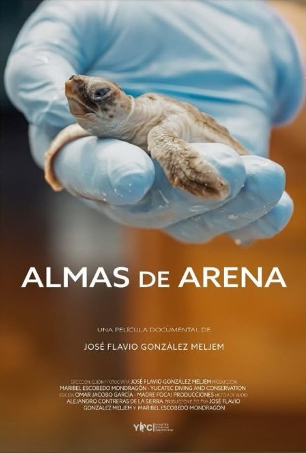 Almas de Arena poster