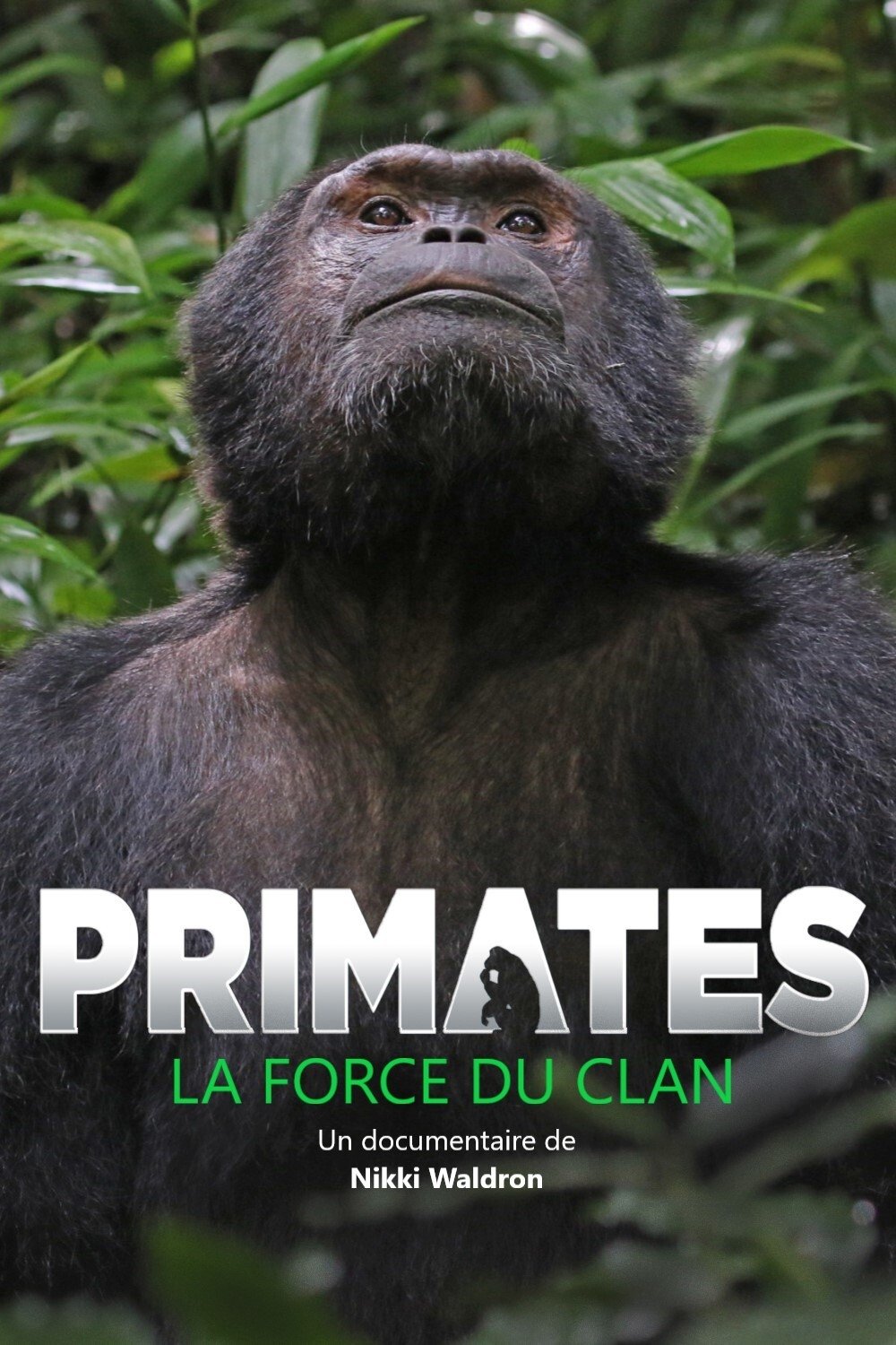 Primates: The Strength of the Clan poster