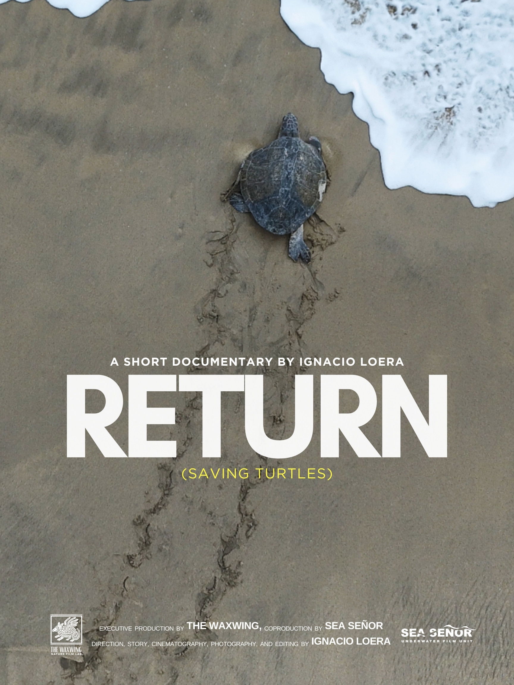 Return: Saving Turtles poster