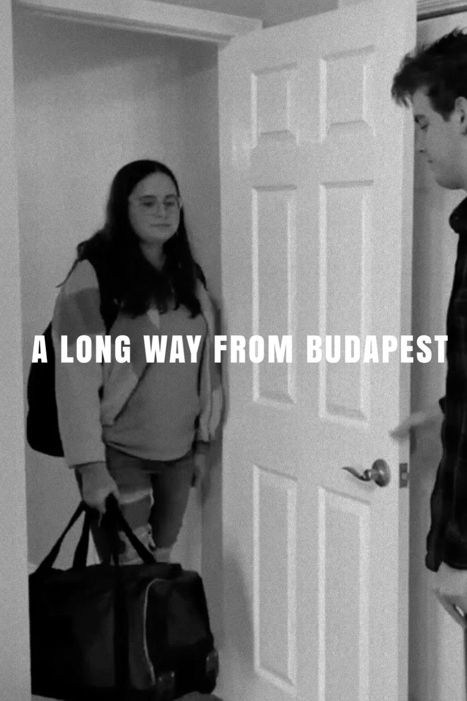 A Long Way from Budapest poster